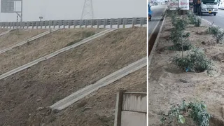लखनऊ-कानपुर एक्सप्रेसवे के सिर्फ ग्रीन फील्ड पर अधूरा पानी निकासी का काम, बिना ट्री गार्ड के पौधे