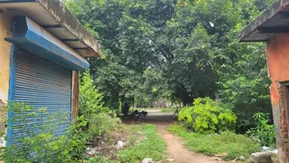 ब्रह्मपुरी रोड स्थित गांधी को-एड सीनियर सेकेंडरी स्कूल से 25 पेड़ हट नहीं सके हैं।