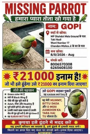 WhatsApp Image 2026-08-10 at 09.37.12