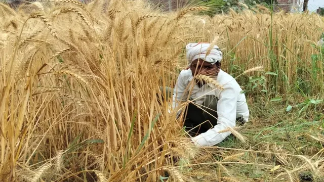 उत्तराखंड के किसानों की इनकम होगी डबल! गांव में ही मिलेगा बाजार, 'एक मंडी-एक गांव' योजना शुरू