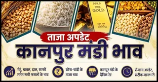 News Article Hero Image