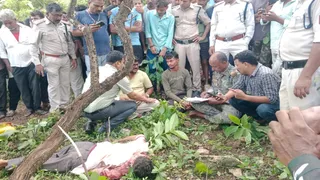 बाघ के हमले में किसान की मौत।