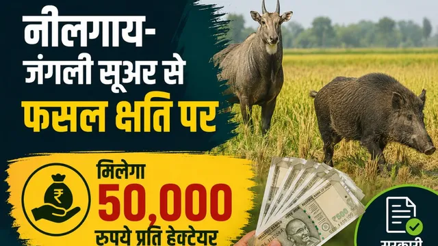 वन्यजीवों से नुकसान हुआ तो ब‍िहार सरकार देगी आर्थिक मदद, मानव क्षति पर 10 लाख तक का प्रावधान
