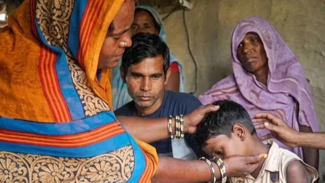 दरभंगा के एक घर में बिस्तर पर छिपा था सांप, दो भाइयों को डंसा, एक की मौत, दूसरा गंभीर