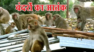 प्रतीकात्मक इमेज