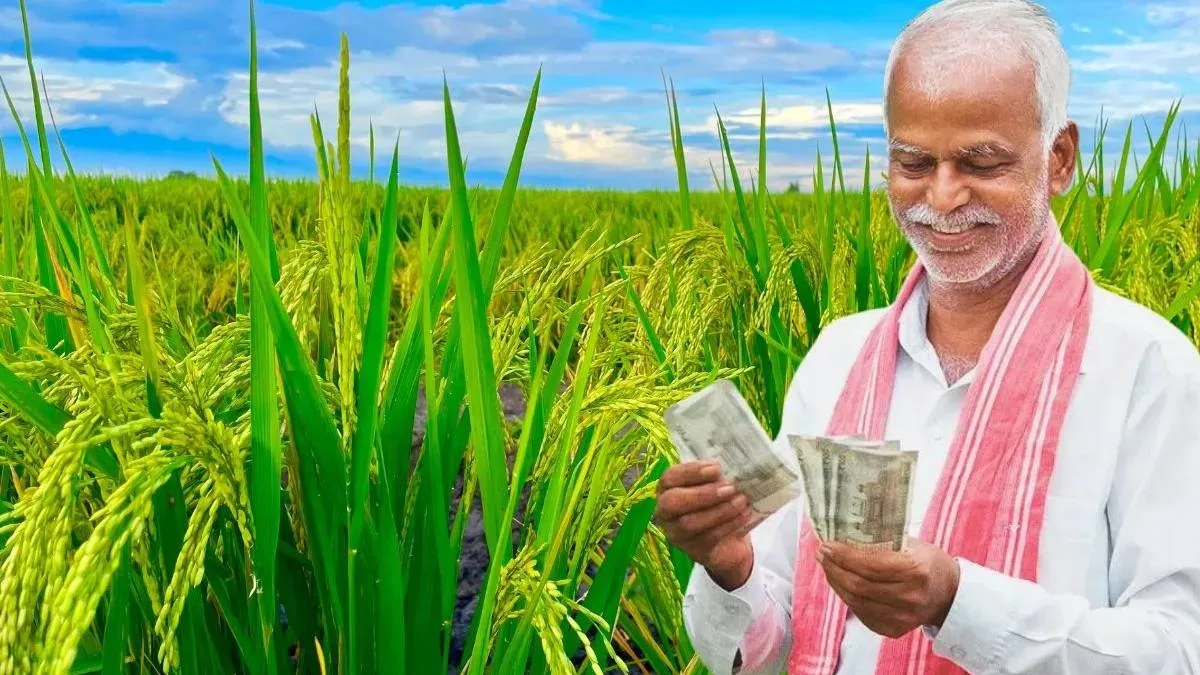 PM Kisan Yojana: 24वीं किस्त से पहले किसानों को झटका, फार्मर ID नहीं, तो खाद नहीं; 2-2 हजार के लिए भी हुई जरूरी