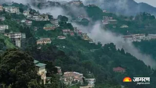 एफआरआइ के ताजा अध्ययन में सामने आई चिंताजनक तस्वीर, 904 हेक्टेयर में किया गया अध्ययन. File Photo