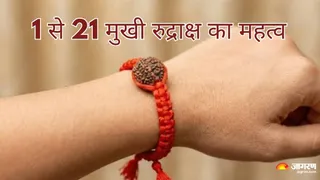 सावन में रुद्राक्ष धारण करने से पहले जानें सही प्रकार और विधि ! (Picture Credit- AI Generated)