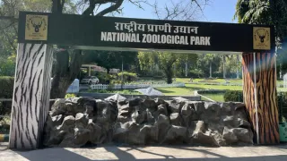 लापरवाही से सवालों में दिल्ली चिड़ियाघर। फोटो: आर्काइव