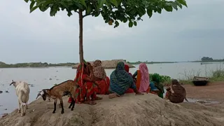 इस्माईलपुर-बिंदटोली में चेतावनी स्तर से महज 2 सेंटीमीटर नीचे गंगा; 24 घंटे में 15 से 23 सेमी तक बढ़ा जलस्तर