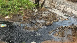 हरियाणा प्रदूषण नियंत्रण बोर्ड ने बंधवाड़ी लैंडफिल से लीचेट बहने पर गुरुग्राम नगर निगम को नोटिस जारी किया है।