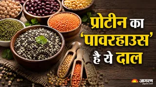 किस दाल में पाया जाता है सबसे ज्यादा प्रोटीन? (Image Source: AI-Generated)