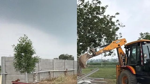 Haryana Bulldozer Action: हिसार में अवैध कॉलोनी पर चला पीला पंजा, 5 एकड़ में बनी सड़कें और दो चहारदीवारी ध्वस्त
