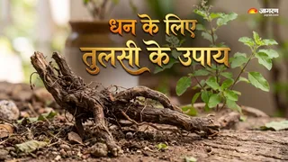 तुलसी के उपाय । (Picture Credit- AI Generated)