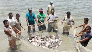 सांकेतिक तस्वीर।