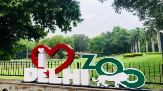 दिल्ली चिड़ियाघर में हिरण का शव छह दिन से अधिक समय तक पड़ा रहा।