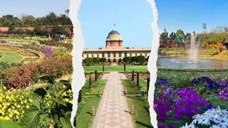 अमृत उद्यान घूमने का बना रहे हैं प्लान? (Image Source: Rashtrapati Bhavan)