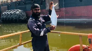अरविंद कुमार। फाइल फोटो