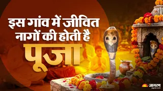 महाराष्ट्र के बत्तीस शिराला गांव में थी जीवित सांपों की पूजा की परंपरा