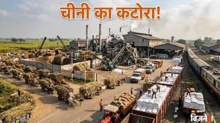 ये है भारत का सबसे बड़ा चीनी उत्पादन क्षेत्र (AI फोटो)