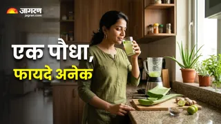 रोज सुबह खाली पेट एलोवेरा जूस पीने के फायदे (Image Source: AI-Generated)