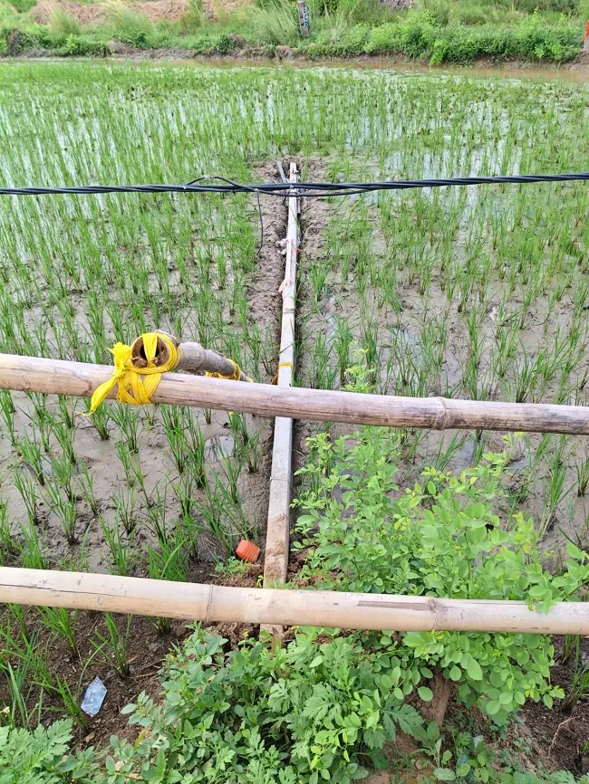 ashok dham incident