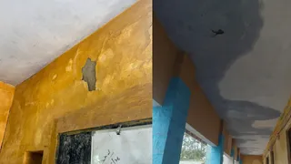 पीएम श्री हायर सेकेंडरी स्कूल में गीली दिवारों पर लगी दीमक और उखड़ता पलस्तर।