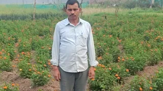 परंपरा से इतर फूलों की खेती से बदली किसानों की तकदीर, लागत से दोगुना मुनाफा
