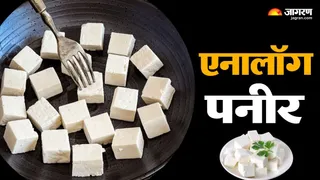 एनालॉग पनीर। Analog Paneer |