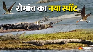 चंबल सेंक्चुरी।