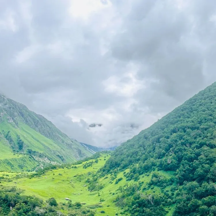 ,Best time to visit Valley of Flowers