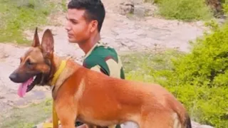 अपने हैंडलर विकास के साथ खोजी कुत्ता टकर।