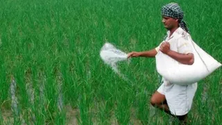 -प्रतीकात्मक चित्र।