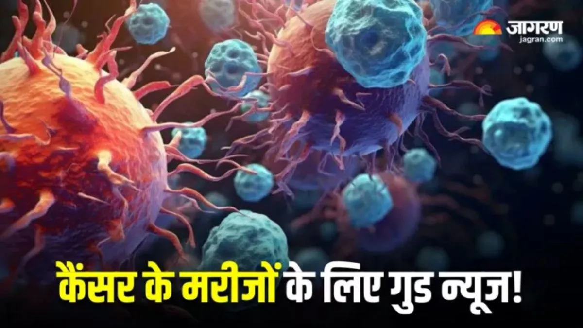 कीमोथेरेपी का मिल गया ऑप्शन, भारतीय वैज्ञानिकों ने बनाई कैंसर की 'स्मार्ट' दवा RK-251; जानिए पेशेंट पर कैसे करेगी असर