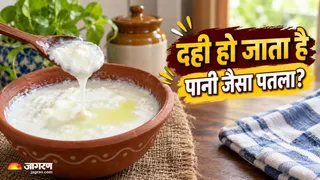 सावन-भादों में कैसे जमाएं एकदम परफेक्ट दही? (Image Source: AI-Generated)