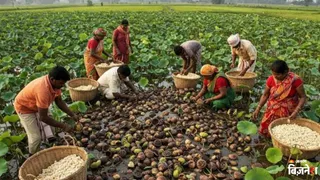अमेरिका से लेकर जर्मनी तक बढ़ रही डिमांड