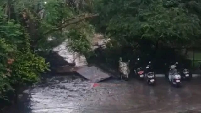 दक्षिणी दिल्ली में भारी बारिश का कहर, एमबी रोड पर लगा लंबा जाम; एक स्कूल की दीवार भी गिरी
