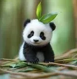 panda - test image description