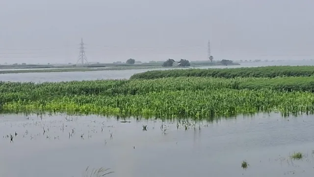 बिहार में बारिश थमी फिर भी उफान पर नदियां, समस्तीपुर के दियारा में घरों और स्कूलों तक पहुंचा पानी