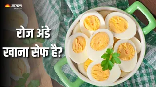 रोज अंडे खाएं, लेकिन सावधानी के साथ (Picture Courtesy: Freepik)
