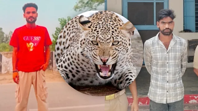 दोस्त का कत्ल कर रची 'आदमखोर तेंदुए' की साजिश: गन्ने के खेत में फेंका शव, मुरादाबाद पुलिस ने ऐसे खोला राज - moradabad man kills friend over money dispute blames leopard attack