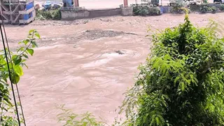 नेपाल में बाढ़ से पश्चिम चंपारण जिले में भी खतरा।