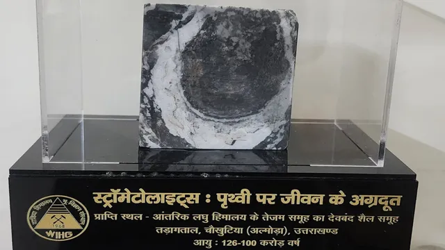 तो क्या उत्तराखंड की जगह हिलोरे लेती थी टेथिस सागर की लहरें? मिला 100 करोड़ साल पुराना अवशेष