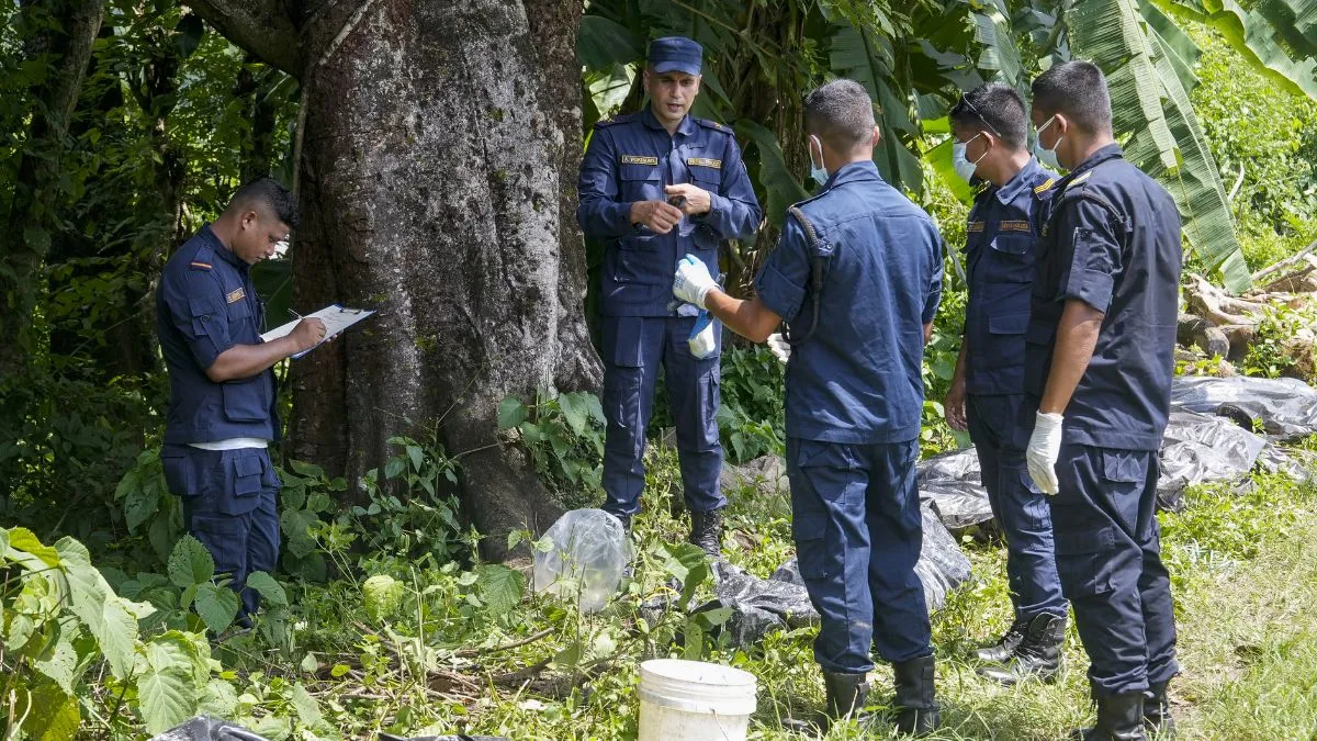 '288 भारतीयों से टूटा संपर्क, तिब्बत सीमा पर भी फंसे 200 नागरिक'; नेपाल बाढ़ पर MEA ने दिया अपडेट