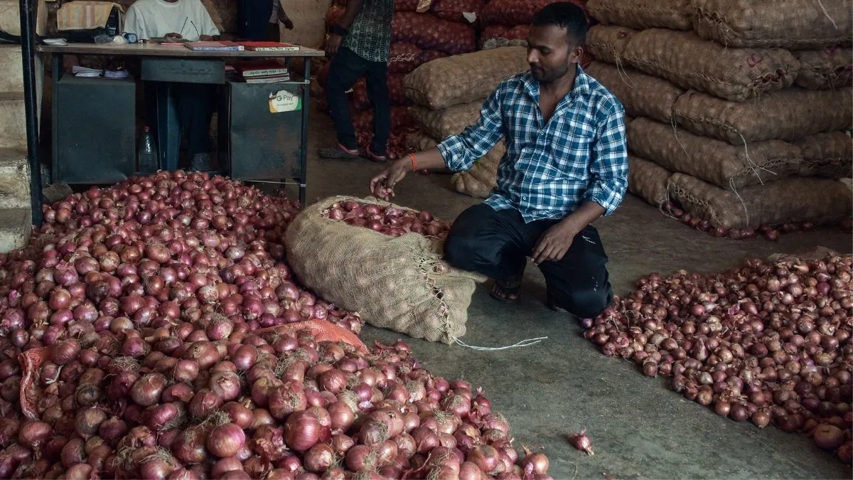 आम आदमी को लगेगा महंगाई का झटका! बफर स्टॉक का 30% प्याज सड़कर बर्बाद, बढ़ सकती है कीमत