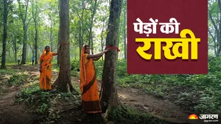 तोपचांची झील वन क्षेत्र में पेड़ों को राखी बांधतीं महिलाएं।(फोटो जागरण)