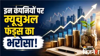 न अदाणी न टाटा, इन 5 कंपनियों में लगा है आपके म्यूचुअल फंड का सबसे ज्यादा पैसा; लिस्ट मे रिलायंस का भी नाम (AI Generated Image)