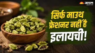 खाने के बाद इलायची चबाना है बेहद फायदेमंद (Image Source: AI-Generated)