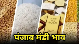 पंजाब मंडी भाव।