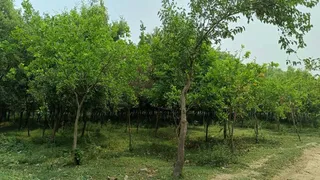 अगली किस्त हेतु 67 करोड़ के उपयोगिता प्रमाणपत्र की आवश्यकता।